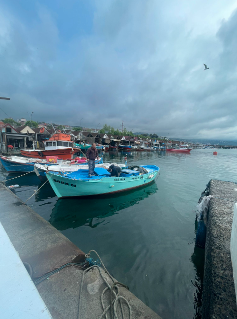 Trabzon Faroz Limanı